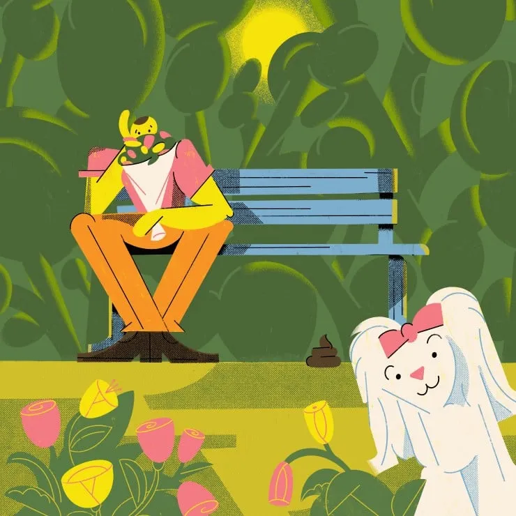 Park, Bench and Poop